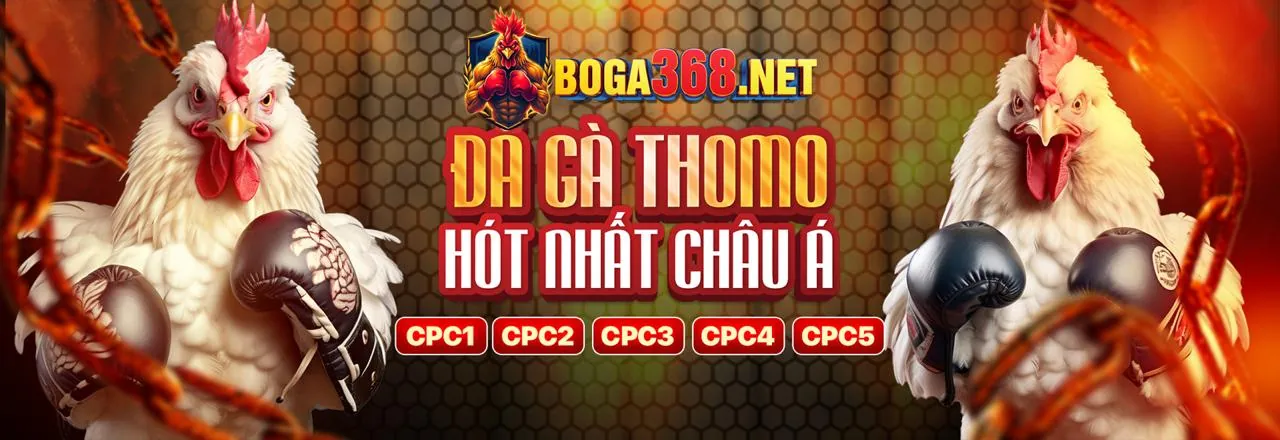 Ưu đãi và Khuyến mãi độc quyền tại Vipbet Win