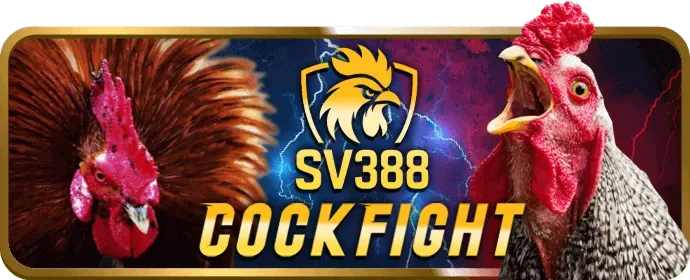 Thưởng Chào Mừng Bắn Cá vipbet win