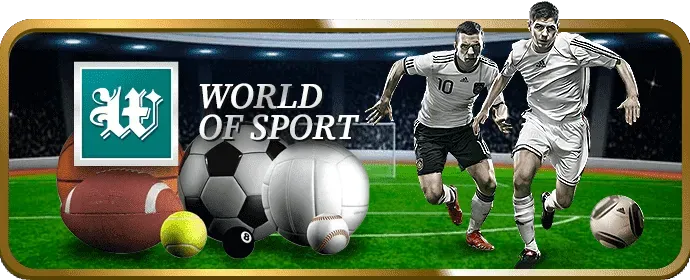 Dịch vụ hỗ trợ khách hàng chuyên nghiệp 24/7 của Vipbet Win